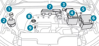 Peugeot 308. Engine compartment