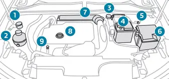 Peugeot 308. Engine compartment